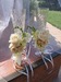 свадебные бокалы с цветами